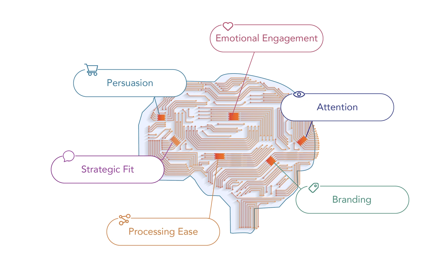 Computational Neuroscience – The Right Data at the Right Time