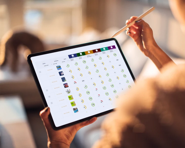 Brainsuite Cockpit Ipad