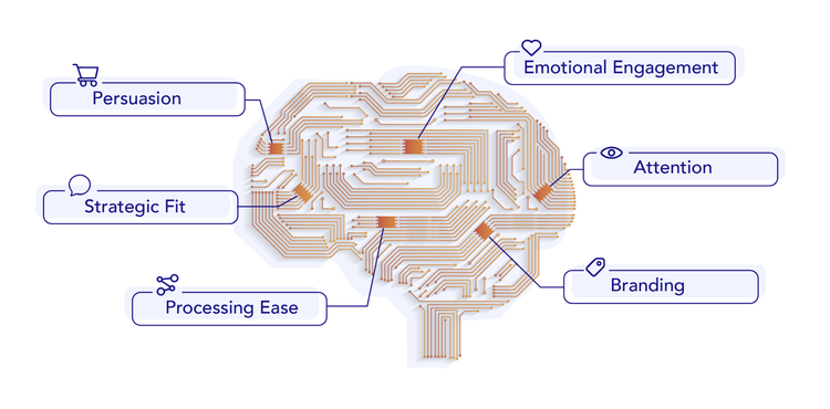 Computational Neuroscience
